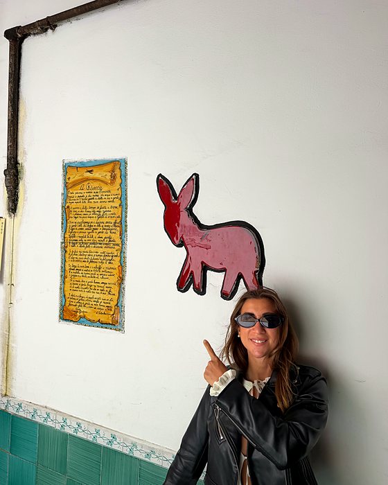 Un asinello rosa di ceramica su un muro, accanto a una targa con una poesia